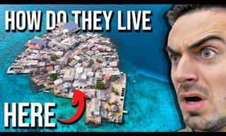 Welcome to the Most Densely Populated Island on Earth