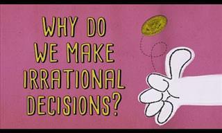 The Truth About WHY We Make Illogical Decisions!