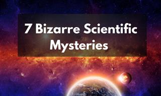 These Bizarre Mysteries Continue to Stump Scientists!