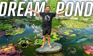 Take a Tour of the Largest Pond Makers in the World
