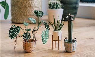 Don’t These Mini Paper Plants Look Absolutely Delightful?