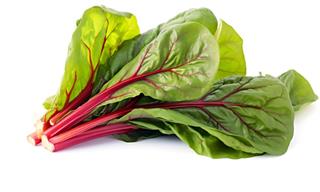 Best Plants to Plant During the Month of October