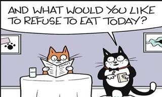 These Funny Comics Nail the Hilarious Side of Cats