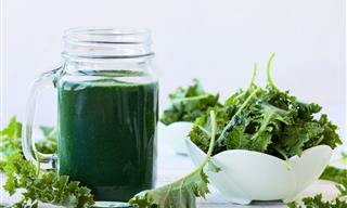 What is Chlorophyll? All You Need to Know