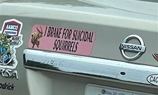 These Car Bumper Stickers Are Rolling Billboards of Comedy