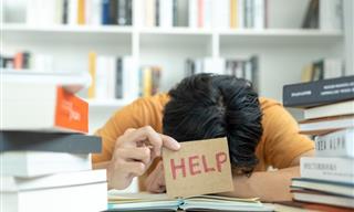 Five of the Best Apps for Anxiety in 2026