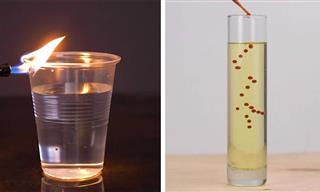Try These Clever Science Tricks at Home!