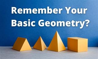 Do You Remember Your Basic Geometry?