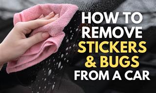 4 Genius Hacks to Help Remove Bugs and Stickers From a Car