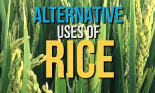 Some Surprising Alternative Uses for Rice