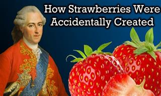 Did You Know That Strawberries Were Created Accidentally?