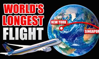 NYC to Singapore: Inside the WORLD'S LONGEST FLIGHT