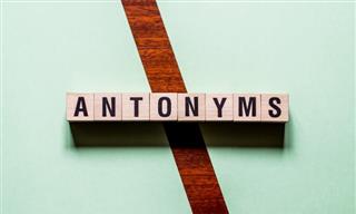 English Quiz: Can You Find All These Pesky Antonyms?