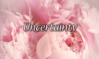 Inspiring Quotes About Uncertainty