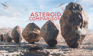 Asteroid Size Comparison That Will Give You Proportion