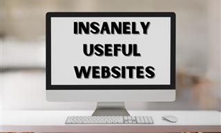 Have You Used Any of These Incredibly Helpful Websites?