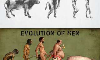 Evolution of Men vs Women - Hilarious!