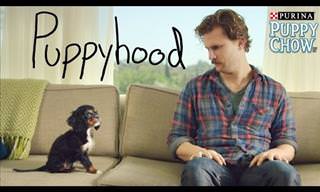 Puppyhood: Adorable Adoption Story