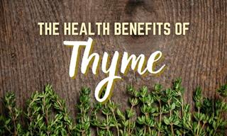 Thyme Is More Beneficial For You Than You Think!