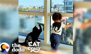Teasing the Window Cleaners - Hilarious and Adorable!