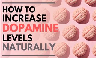 6 Ways You Can Increase Your Dopamine Levels Naturally