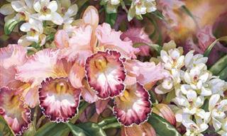 A Selection of Beautiful Flower Paintings by Darryl Trott