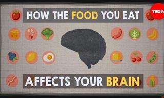 You Are Literally What You Eat: How Food Affects the Brain