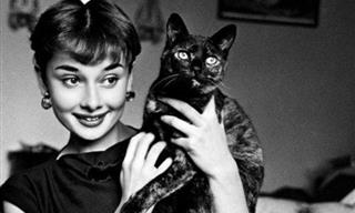 23 Famous Figures Photographed With Their Beloved Cats