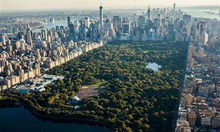 The Hidden History and Secret Gems of Central Park