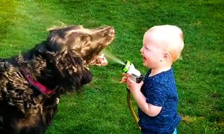 Cuteness Overload: Watch Babies Crack Up With Pets!