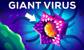 These Newly Discovered Giant Viruses Are Everywhere!