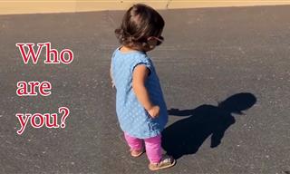 Hilarious - Babies Discovering the Concept of Shadows