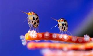 Ocean Photography 2025: Winning Photographs