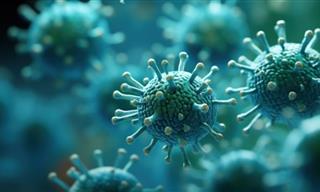 Norovirus: What You Need to Know