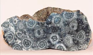 15 Ordinary Rocks With the Funkiest Patterns on Them