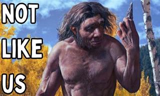 The INSANE Biology of Neanderthals!