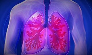 10 Simple Ways to Keep Your Lungs Healthier