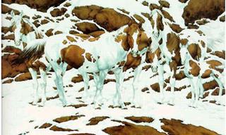 Test Yourself: What Do You See in These Pictures?