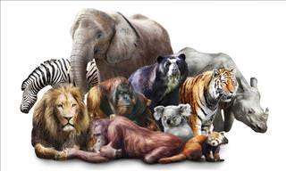Only the Biggest Animal Lovers Can Pass This Quiz...