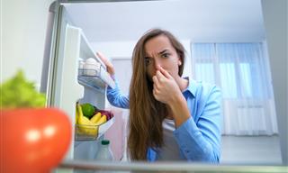 How to Get Rid of 18 Bad Odors in the House