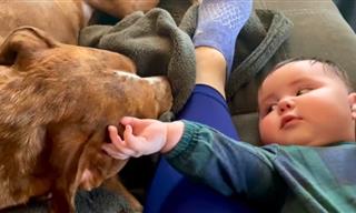Adorable Babies Playing With Animals – 14 CUTE Pics