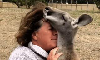 Grandma Loves Her Kangaroo