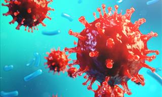 The 12 Deadliest Viruses in Human History