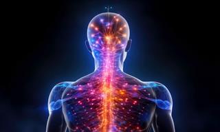 What It Really Means to "Regulate Your Nervous System"