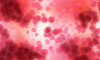 A Complete Guide to Anemia