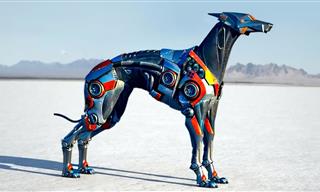 10 Incredible Animal-Inspired Robots
