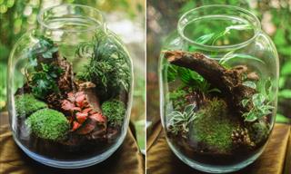 Make One of These Magical Glass Terrariums at Home!