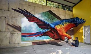 Artist Adds Unique Color to Drab Streets With His 3D Art