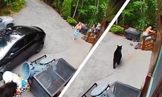 Funny Videos 2025: When Things Don't Go Your Way...