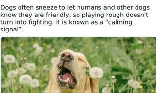These Facts About The World Sound Too Weird to Be True